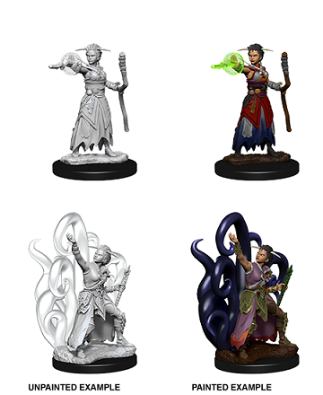 D&D Unpainted Miniature Nolzur's Human Warlock