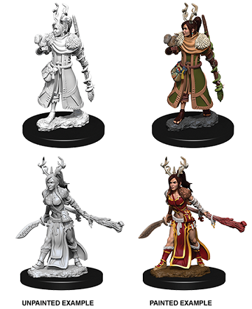 D&D Unpainted Miniature Nolzur's Human Druid