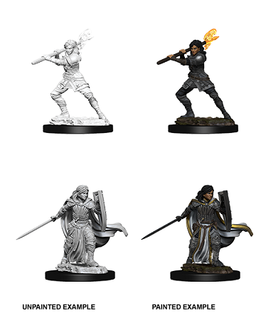 D&D Unpainted Miniature Nolzur's Human Paladin | The CG Realm