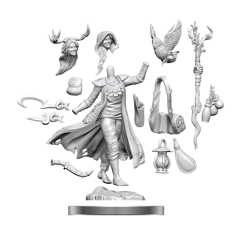 DND FRAMEWORKS: HUMAN DRUID FEMALE | The CG Realm