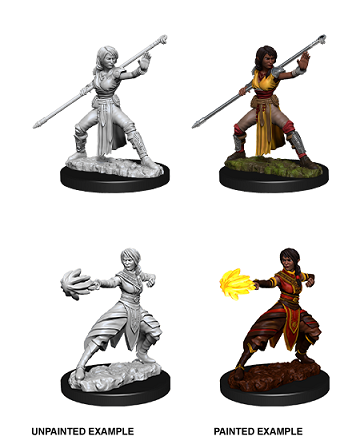 D&D Unpainted Miniature Nolzur's Half-Elf Monk | The CG Realm